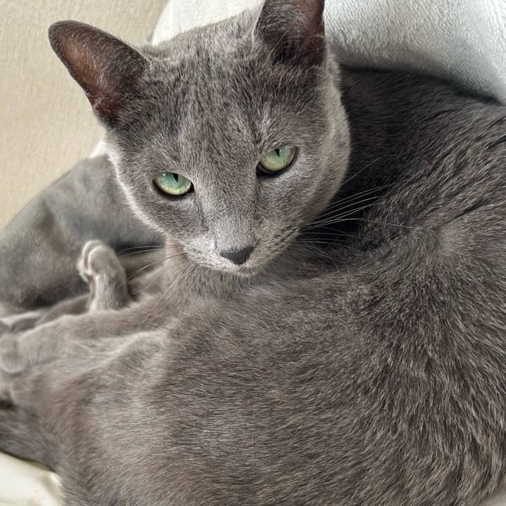 3c1583a3 616f 40ee 8c9a 577143cdecbe 1762161458610