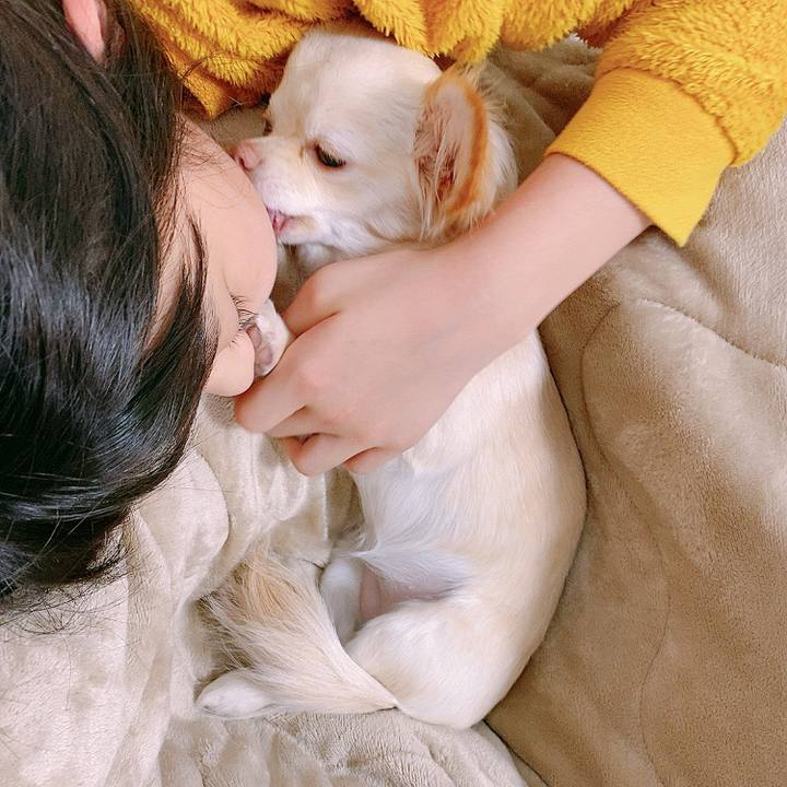 3c159e6f e716 442b 9e87 f6f23635c76b 1611874342624