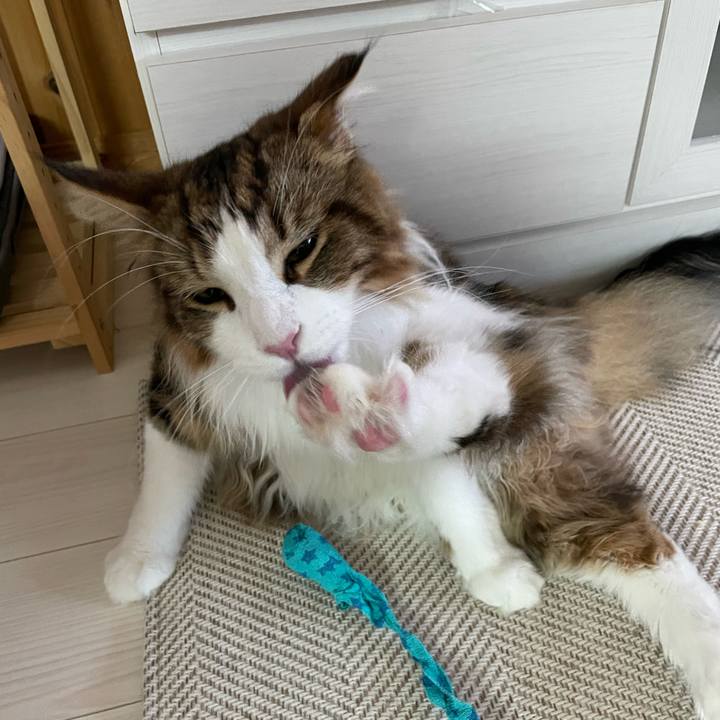 3c15d2cb 93fe 4981 87a3 6b7256bfa921 1657572789686