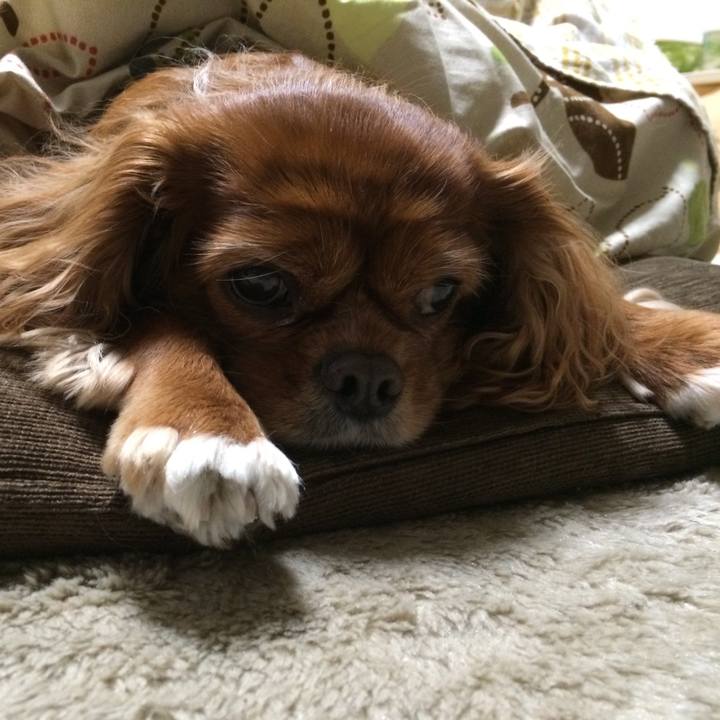 3c15d969 a40d 49dc bee6 93cfa2467c4e 1513549559053