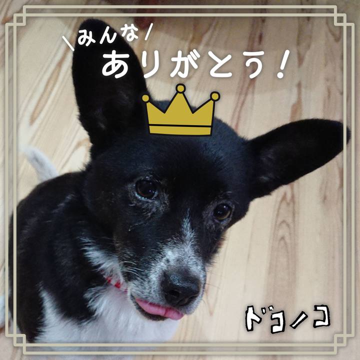 3c15ed90 8c55 4a19 8df7 2cad00064e05 1622977982904