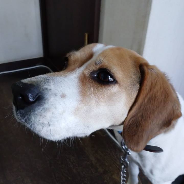 3c160919 486c 49c1 a405 9e259b73a01f 1610695411044