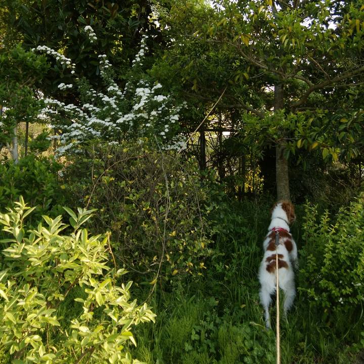 3c16140a d9cb 4384 9df3 cafb32baddde 1524309957853