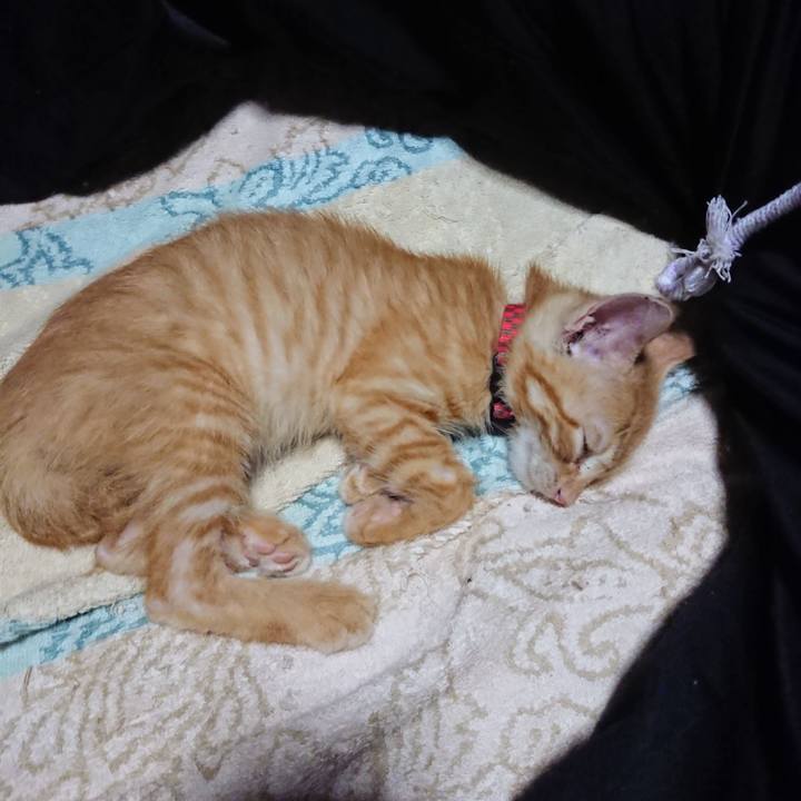 3c1683c8 a41c 41ad 81a1 bf5dbe646bdb 1628857228771