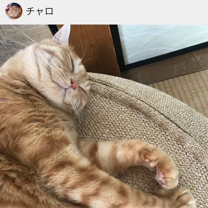 3c16bc9c 3ad2 4ba5 a063 3d1ec94e9c5a 1643892081401