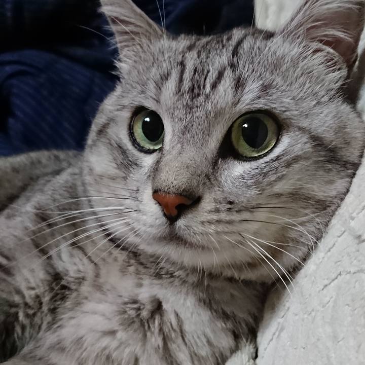 3c16d830 2a0f 4de2 b829 52f314fd7b46 1563462993533