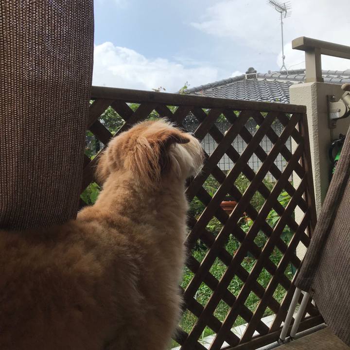 3c16eb19 b954 46c7 8477 0b4c88345920 1531092384715