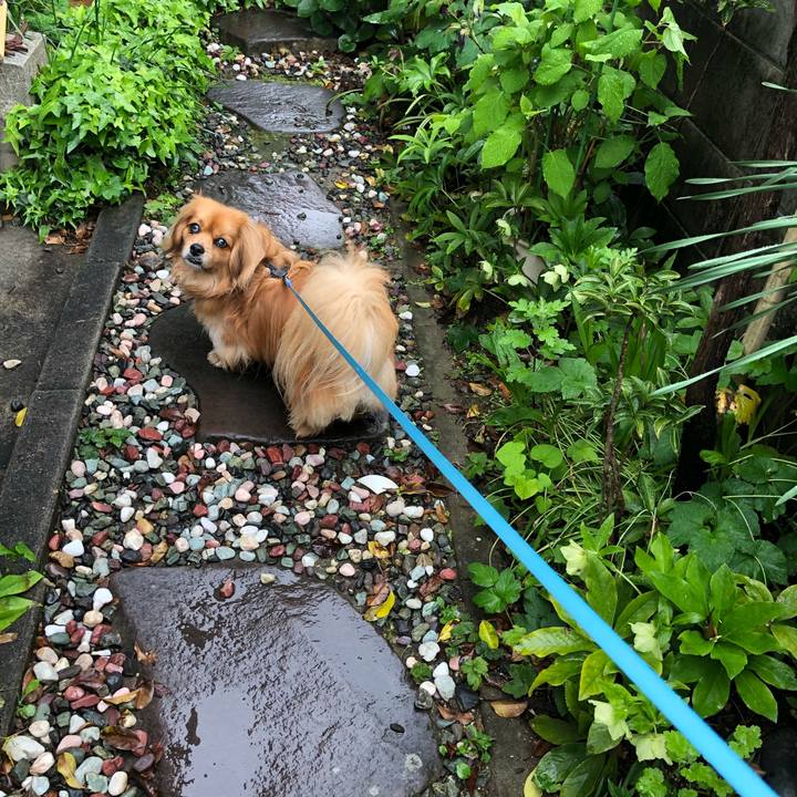 3c16f268 4e2a 4945 afa5 7ea59cab7c0c 1556663719337