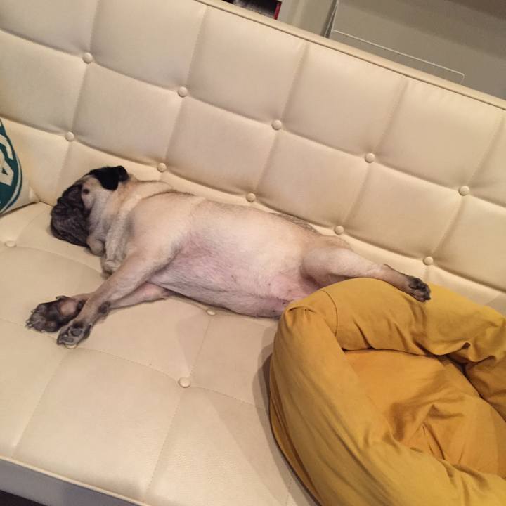 3c171afa 3b8f 44f8 b00e 1df9f2e97d2f 1542670369133