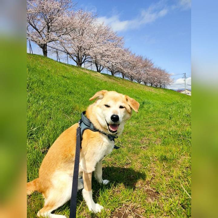 3c173741 d386 43f4 b4b7 1ac7d6619f75 1648816946412