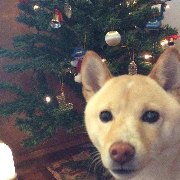 3c1770a0 c45e 40c3 9b7c 18e9e4bfafbd 1513997657574