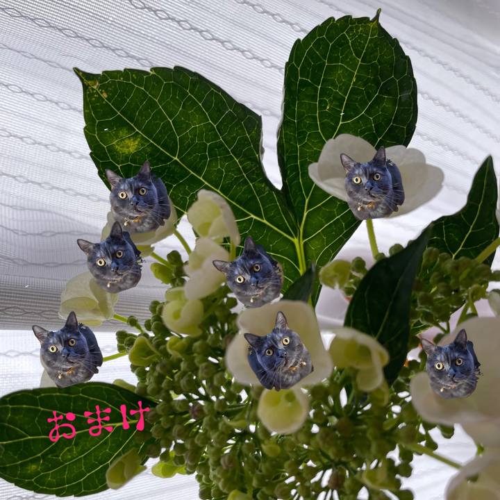3c17e7d8 39e0 4382 8b11 c96bcd864e3b 1685523451784