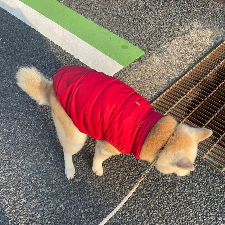 3c182525 7732 4831 a3a9 0c819bd3b8f2 1710493706000