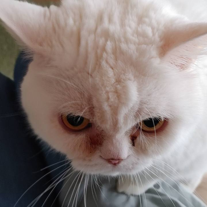 3c184069 8285 47d4 84a3 c78f0b204ec5 1728091485310