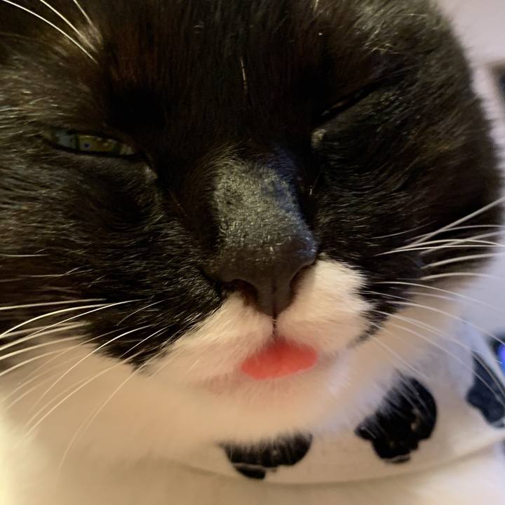 3c185008 e626 4e55 86b3 40db7814abf3 1569034299674