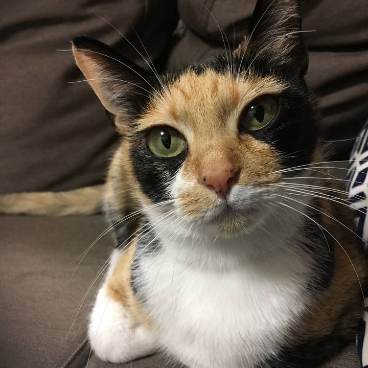 3c187013 2a74 46c1 870d 405a5ed136d6 1513172062464