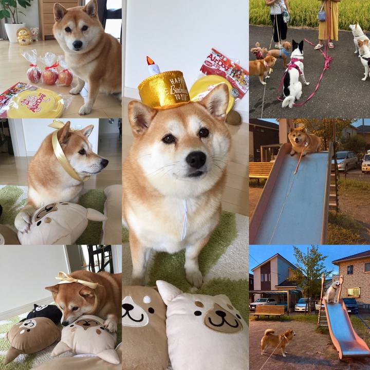 3c188c1c fff1 4012 a34c 7847c1c31ae3 1534774899940