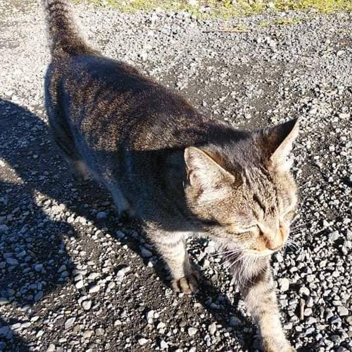 3c188d2c da58 41e5 ac72 2d8746697360 1636674132566