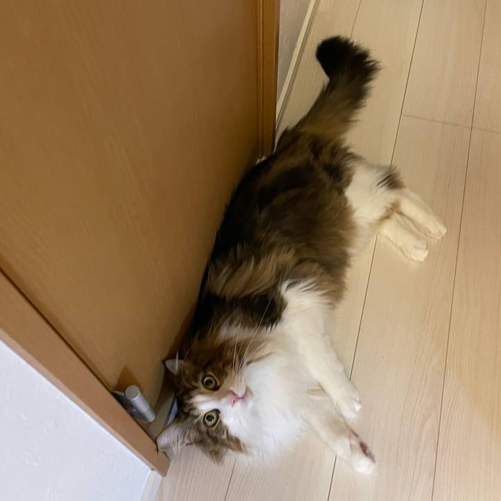 3c18a1c2 f9db 4fa3 8d01 4ae4f91ae294 1675456639097