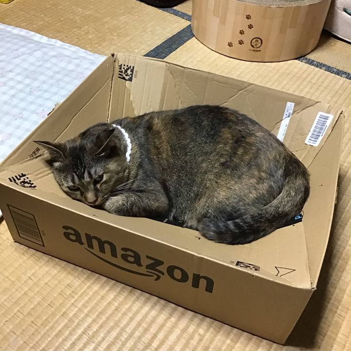 3c18b991 1801 4144 bae4 4b80634b45fa 1724488418449