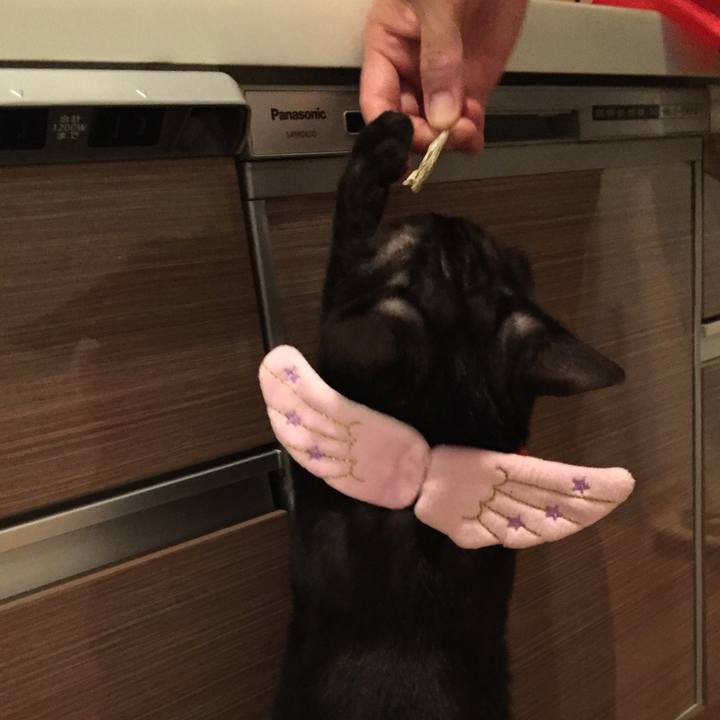 3c18dd9e c383 4fa7 8e71 3e03a406f55b 1541255663657