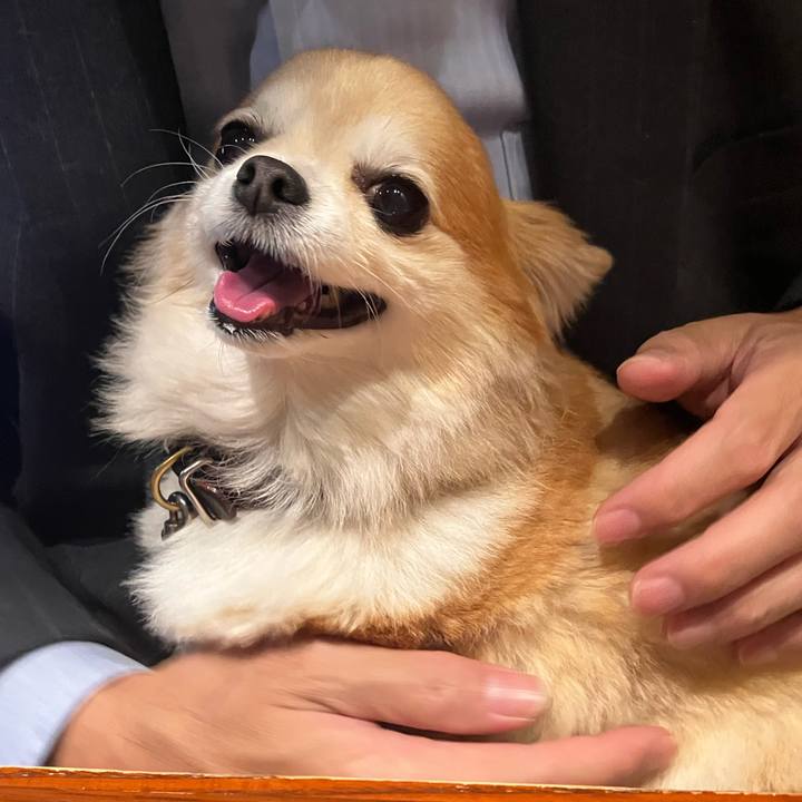 3c18de39 21b1 4987 829b 5dc55f1fed9e 1773698058974