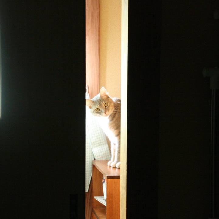 3c1948ff b3f8 4882 9fa4 f9a5cb7d6aab 1521331255868