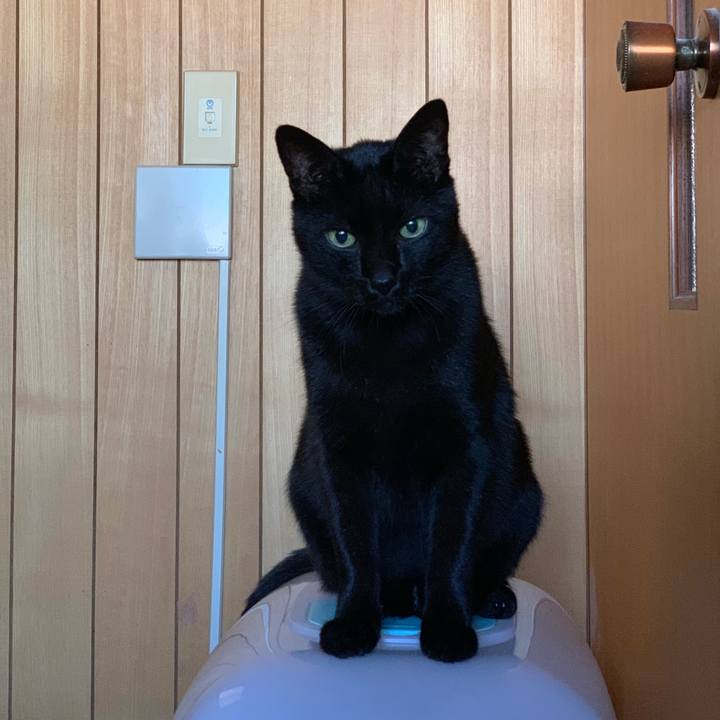 3c1989d4 fdd5 4420 a8e4 dab3f580440d 1540429712188