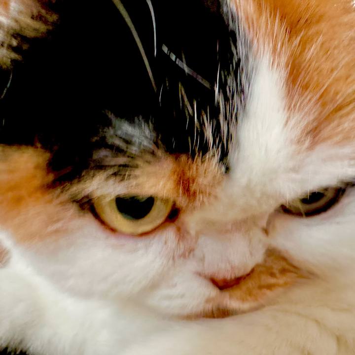 3c19b346 9eac 4190 9023 2db9a3b8b003 1701841734661