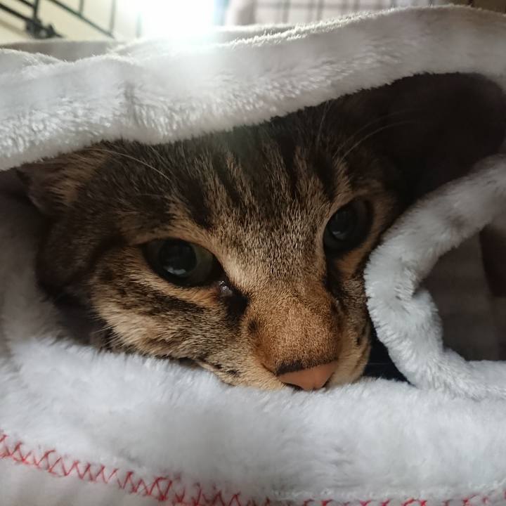 3c19b7d1 b134 42a9 96ad 2eb4dda51f14 1574086750840