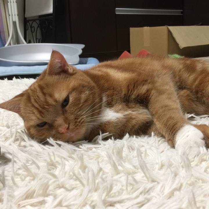 3c1a0623 9189 46c8 9868 50f83a4981e8 1566566634134