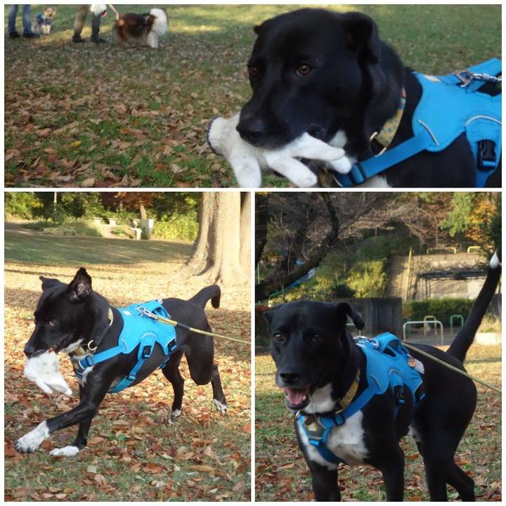 3c1a0a49 3313 4c9c b832 26454ade8d2a 1605485858479