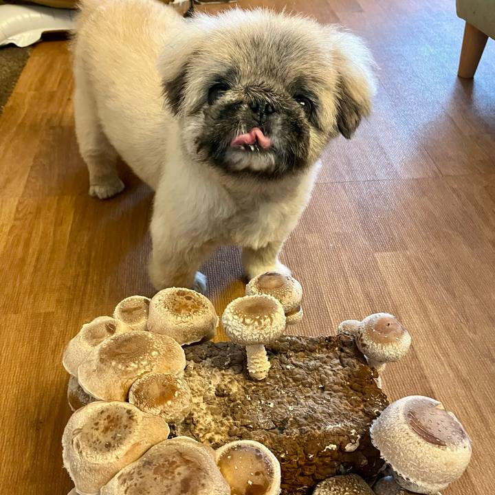 3c1a2eb3 c794 40ed 9c79 f1da7bdaf10d 1760566709787