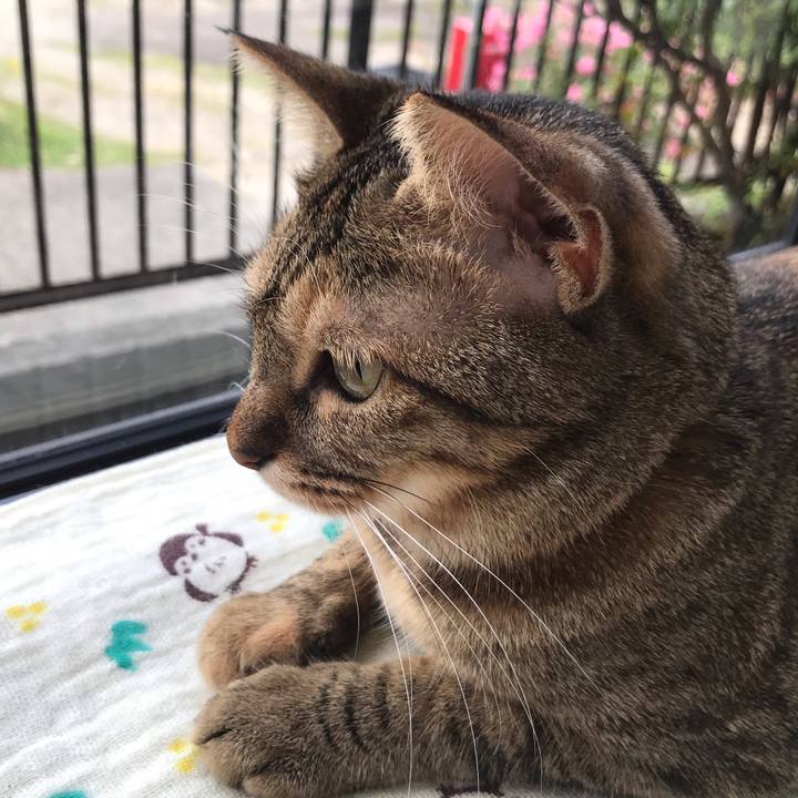 3c1a4ecd 7d71 42f1 9517 3a322fd194f9 1596499514581