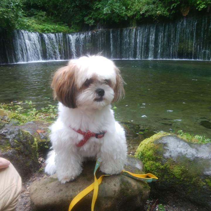 3c1a7b03 ccbd 4c5b a966 cec144dd631b 1533639483722