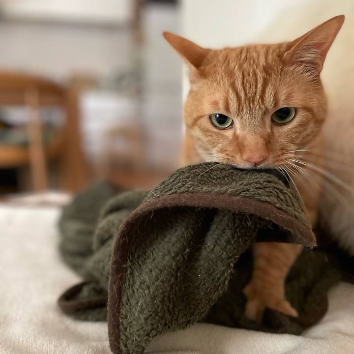 3c1a8712 4946 465f 9ca9 be6eca716043 1651469051671