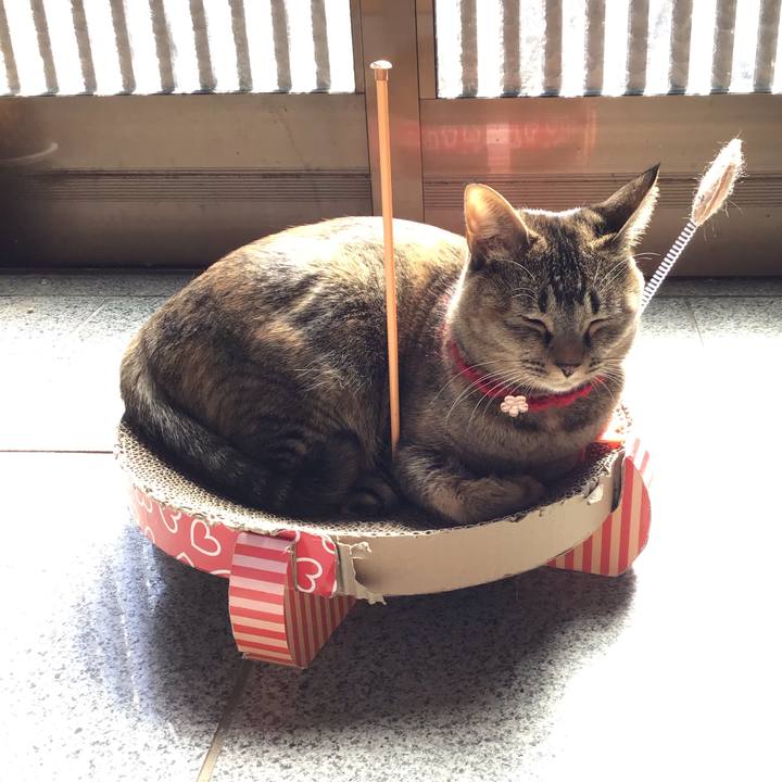 3c1abf38 960a 46d3 9c14 ef32cb338663 1613705162509