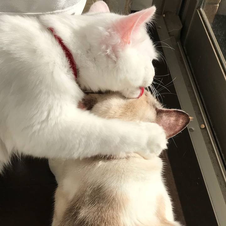 3c1ad44d 5510 4f3b 85cf fa550c0c11a1 1511660327344