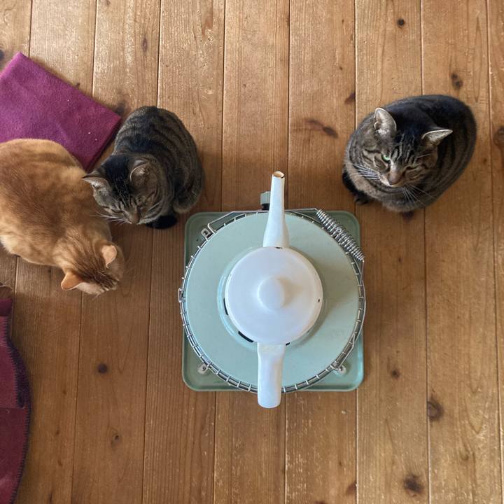 3c1ae70c daf4 4fd0 b2b2 5e8954802fef 1709419705523