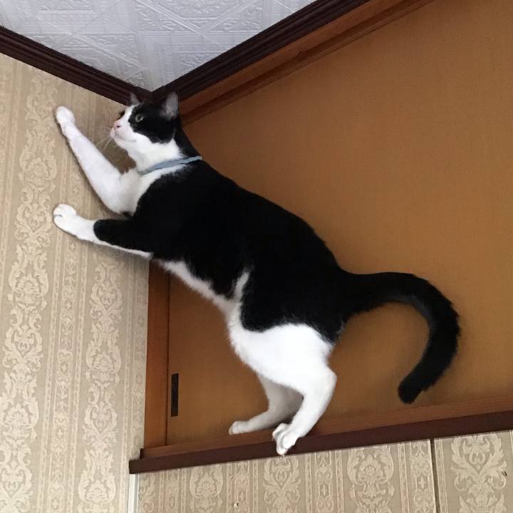 3c1af11e a743 4f38 9bcf 706ac9eff87d 1661726025587