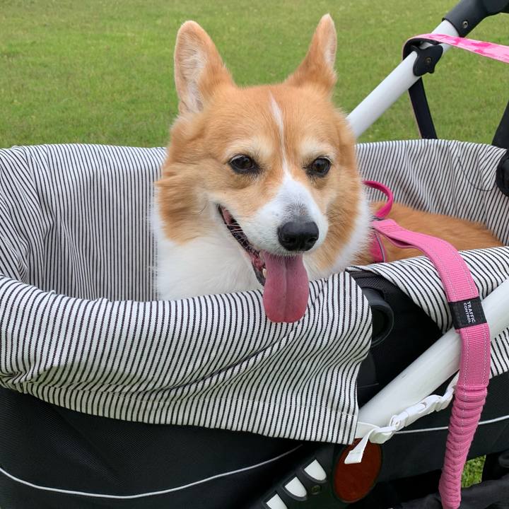 3c1b0264 e05d 4408 a262 13419e39714f 1716092726569