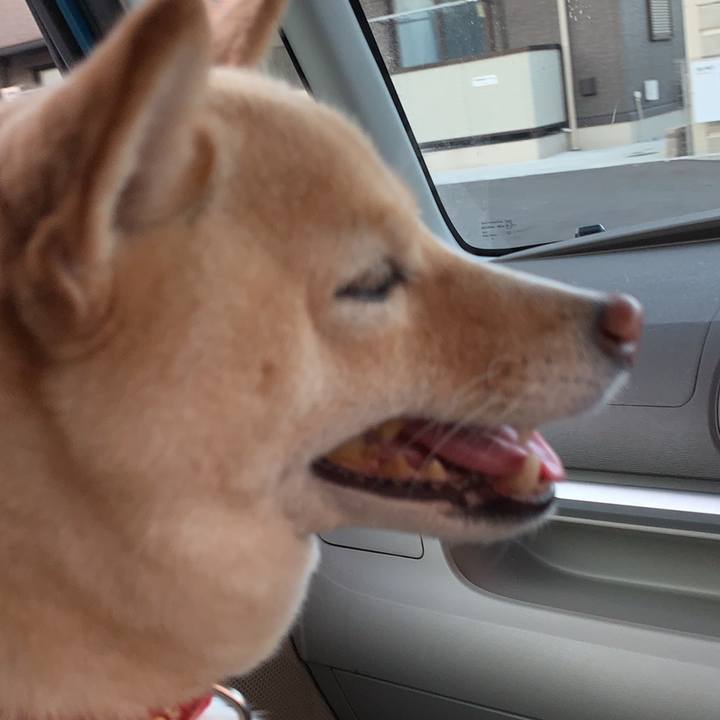 3c1b2587 35ce 4195 883a a80963f78dc5 1639310946347