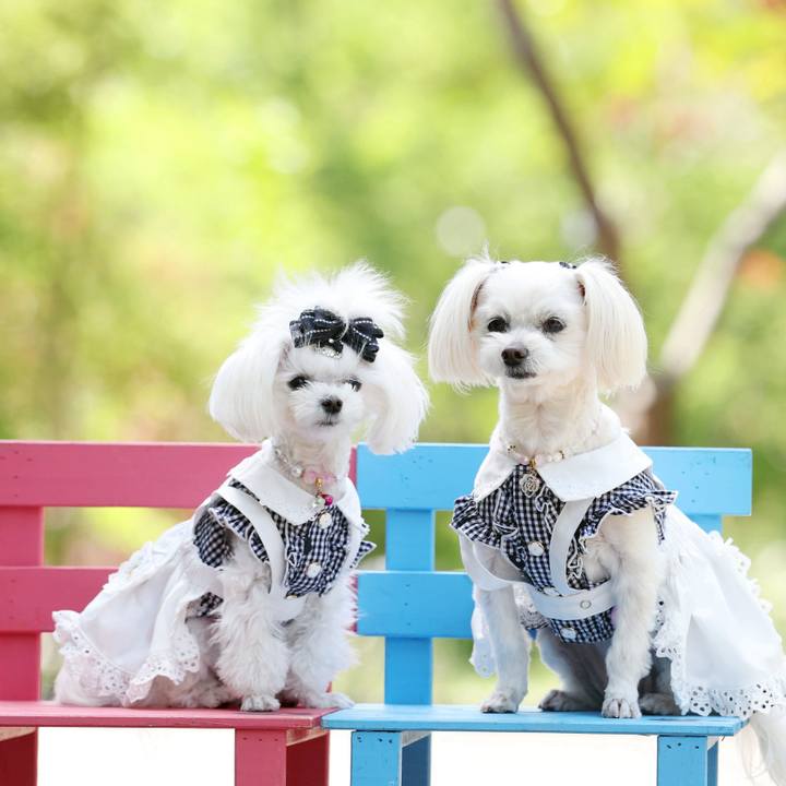 3c1b3941 ccaf 40a9 a4b1 31c2642995f4 1746535418779