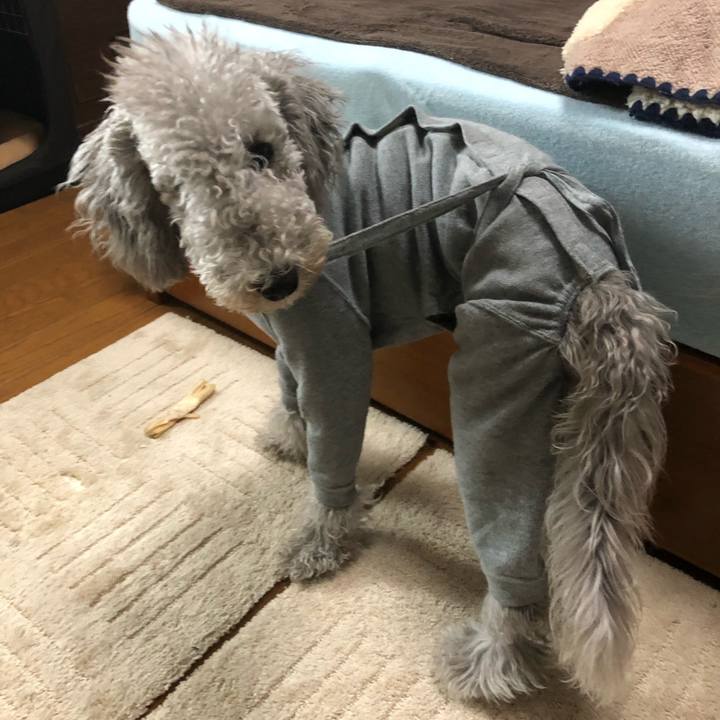 3c1b5801 ced3 4937 aa3f d9e38dc3d2af 1579321686054