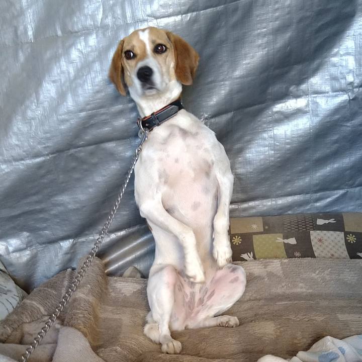 3c1b73f5 d94b 4e2d bfab fd4ad5acdf1d 1628060298974