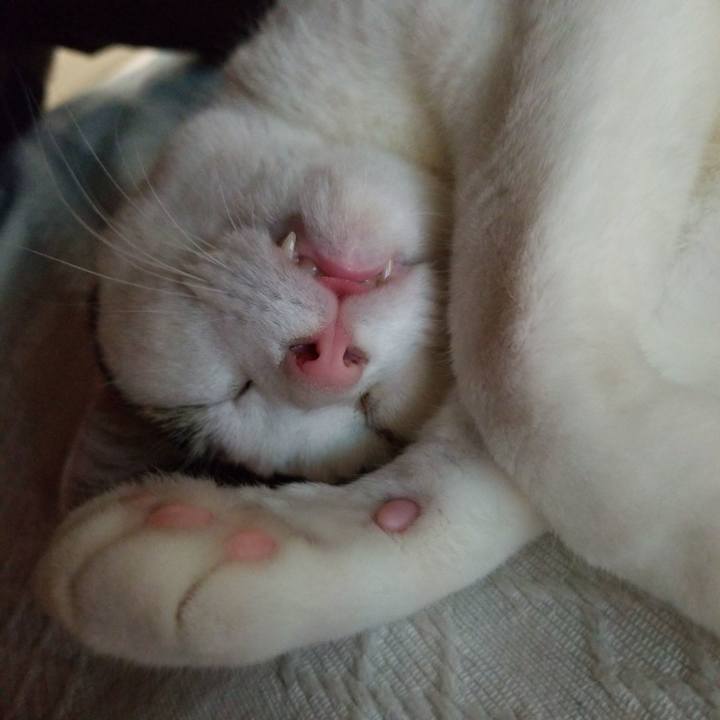 3c1ba95e 2c7d 4a10 9520 96d59dab9b0f 1581629951909