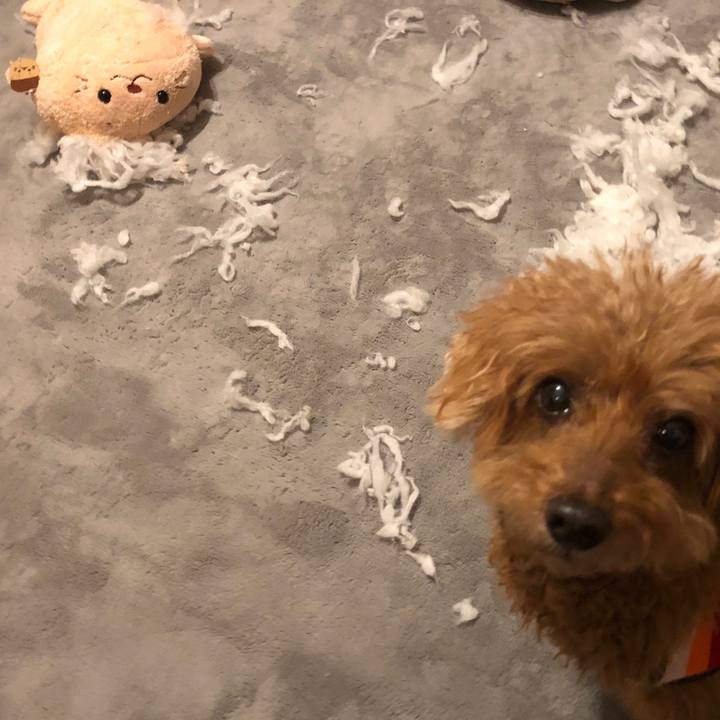 3c1bcc1c ad11 4c52 8bf4 7d23f206e605 1583577064290