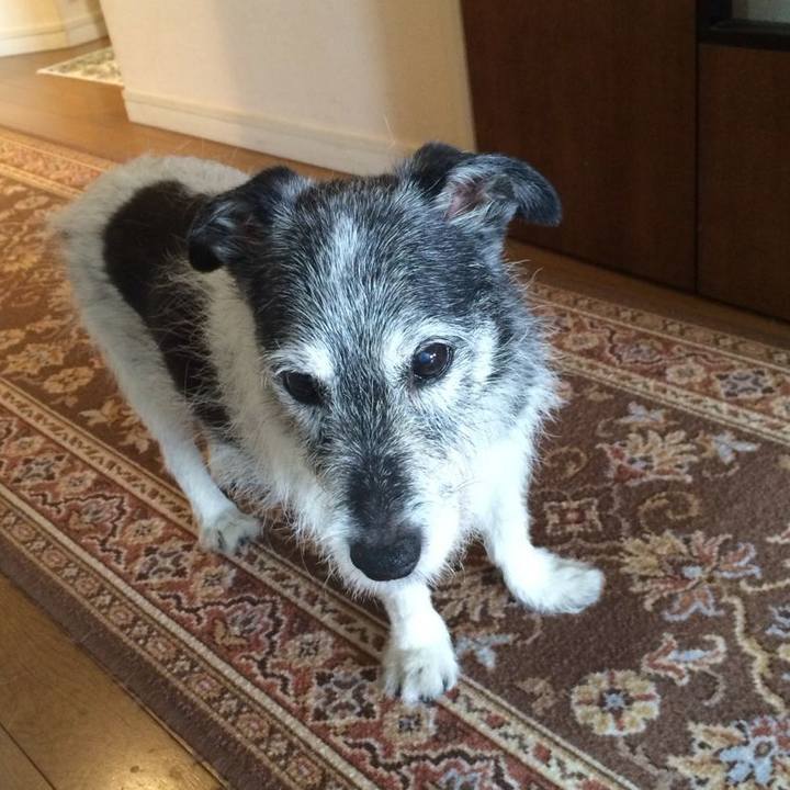 3c1c178d 1e0c 4b19 8723 9b490d771163 1534194143166