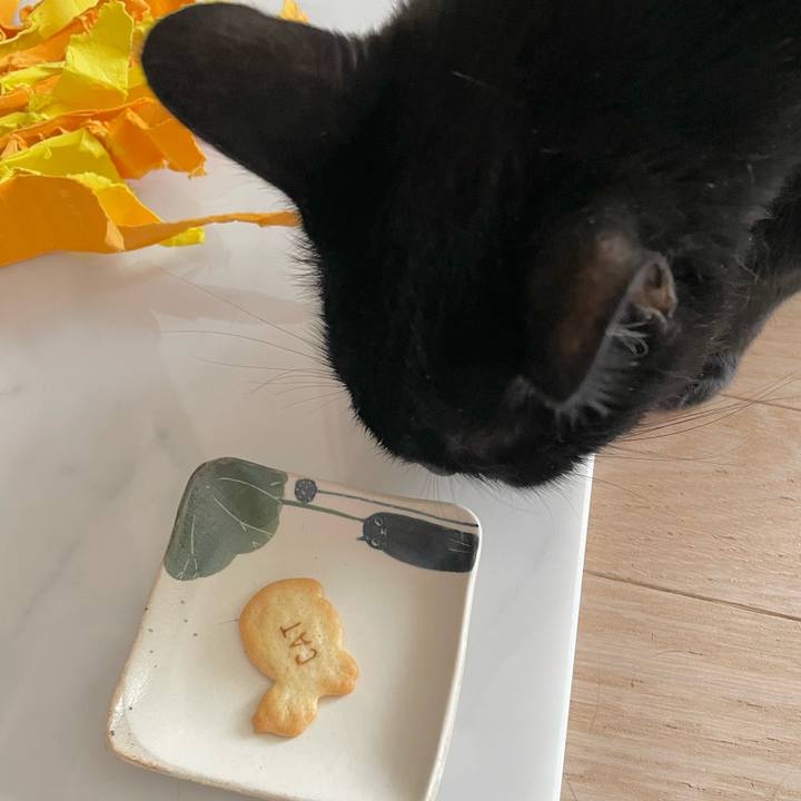 3c1c1a07 4b3a 4995 bc55 3e2010f3a5b5 1693110069467