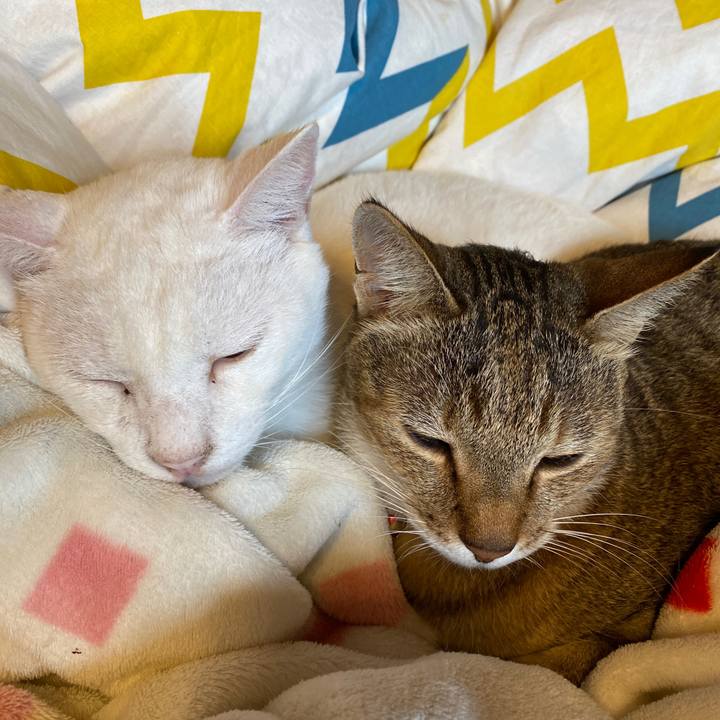 3c1c2e8c 7852 44f1 8ab9 debaaa3b1798 1665183230222